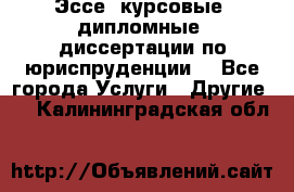 Эссе, курсовые, дипломные, диссертации по юриспруденции! - Все города Услуги » Другие   . Калининградская обл.